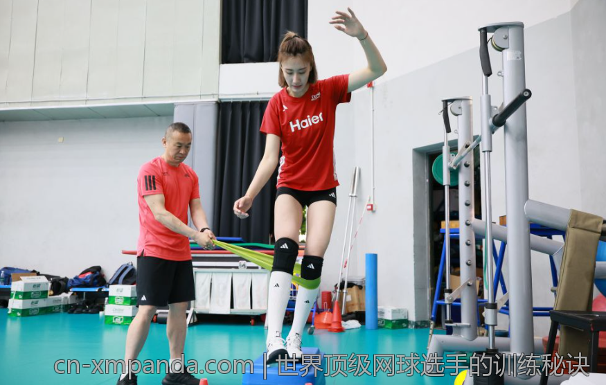 世界顶级网球选手的训练秘诀