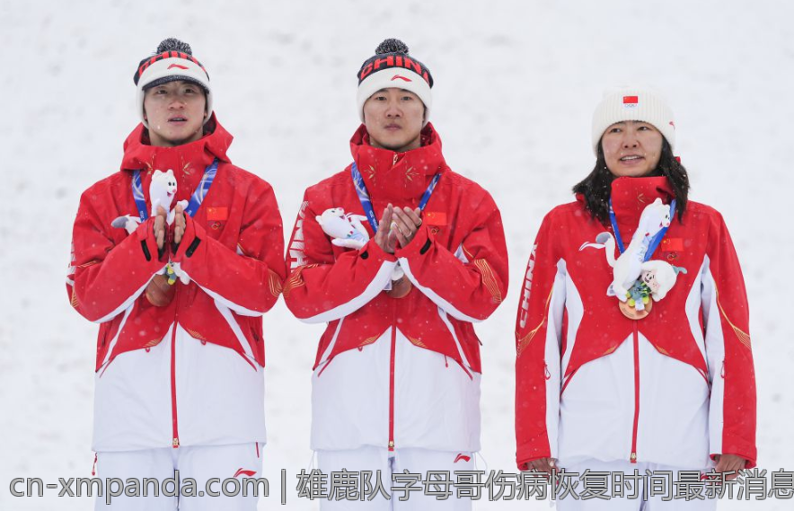 费多尔戈斯特九球世界第一地位的巩固策略