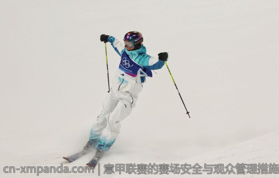 意甲联赛的赛场安全与观众管理措施