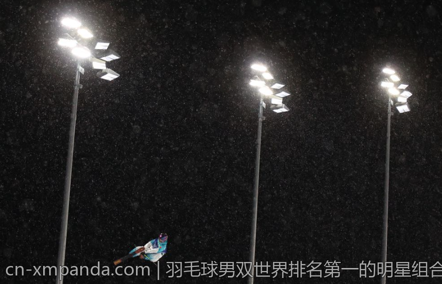 羽毛球男双世界排名第一的明星组合背后故事