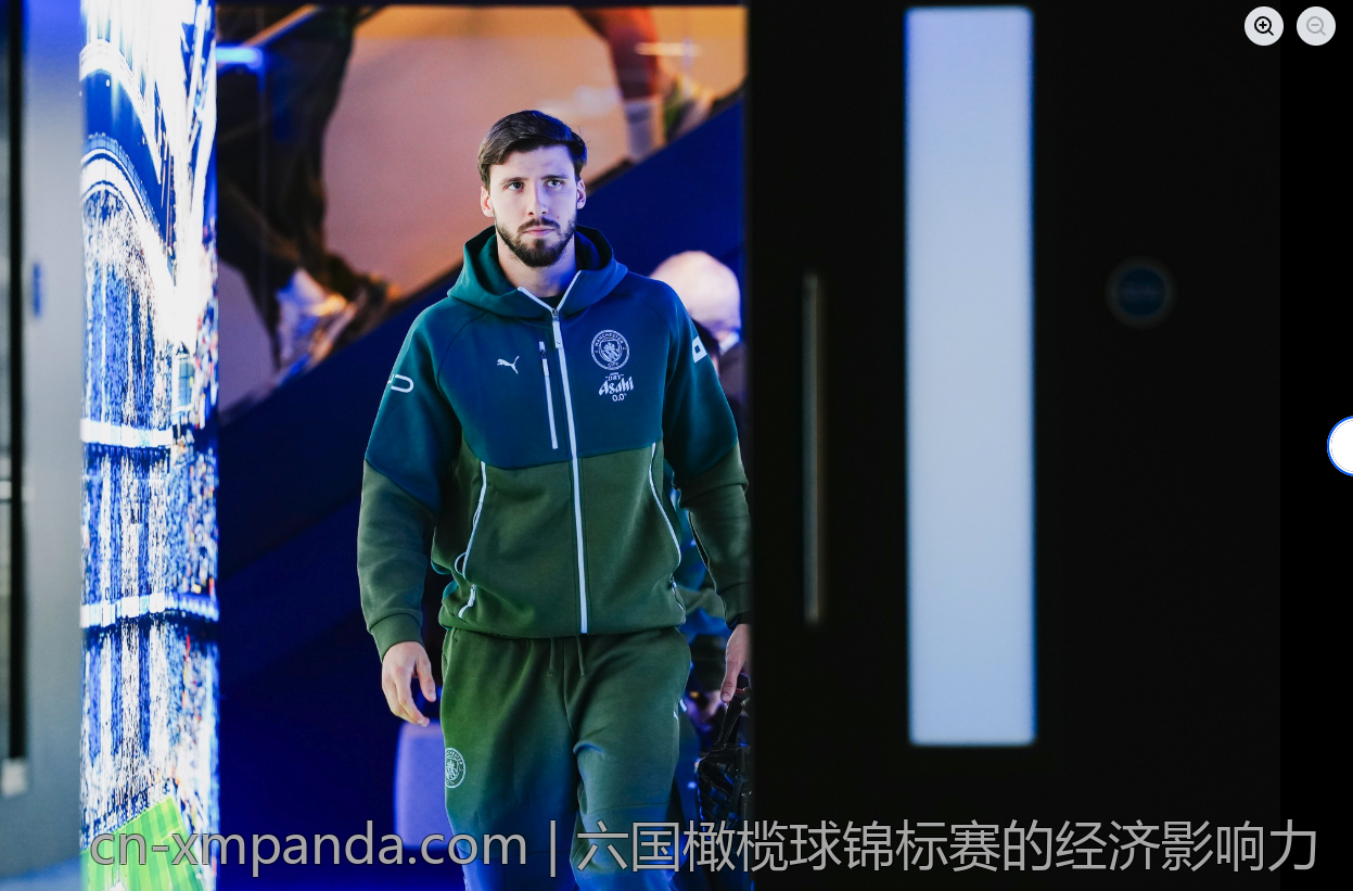 六国橄榄球锦标赛的经济影响力